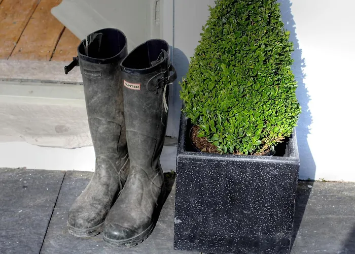 度假居 Orrest Head House 温德米尔